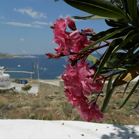 Maroulinas Boutique & Apartment *
